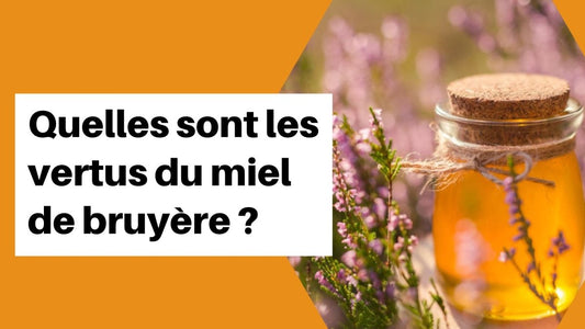 Quelles sont les vertus du miel de bruyère ?