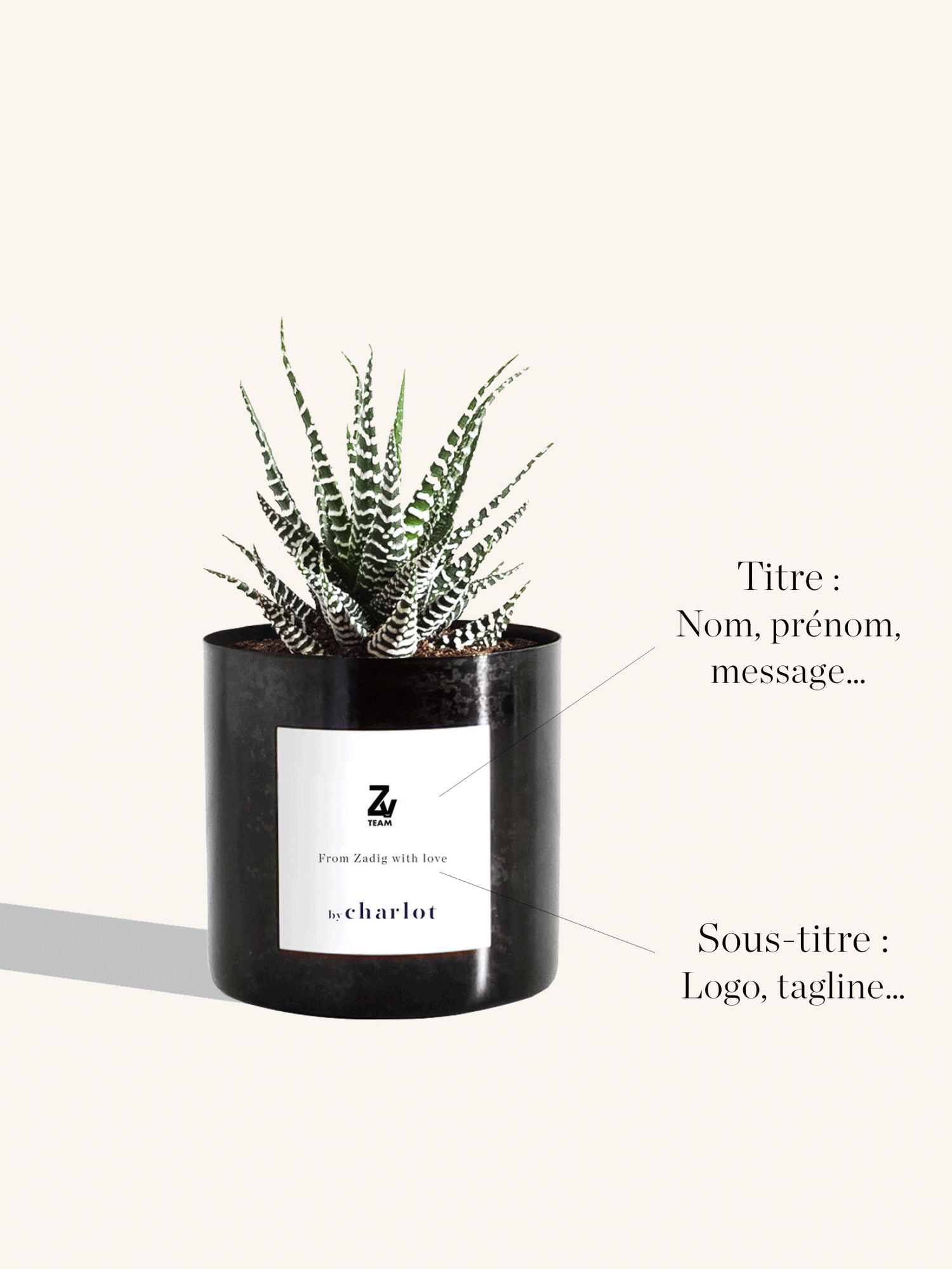 une plante comme idée d'OBJETS PROMOTIONNELS ÉCO RESPONSABLE
