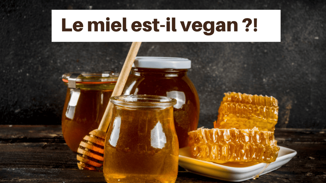 Le miel est-il vegan