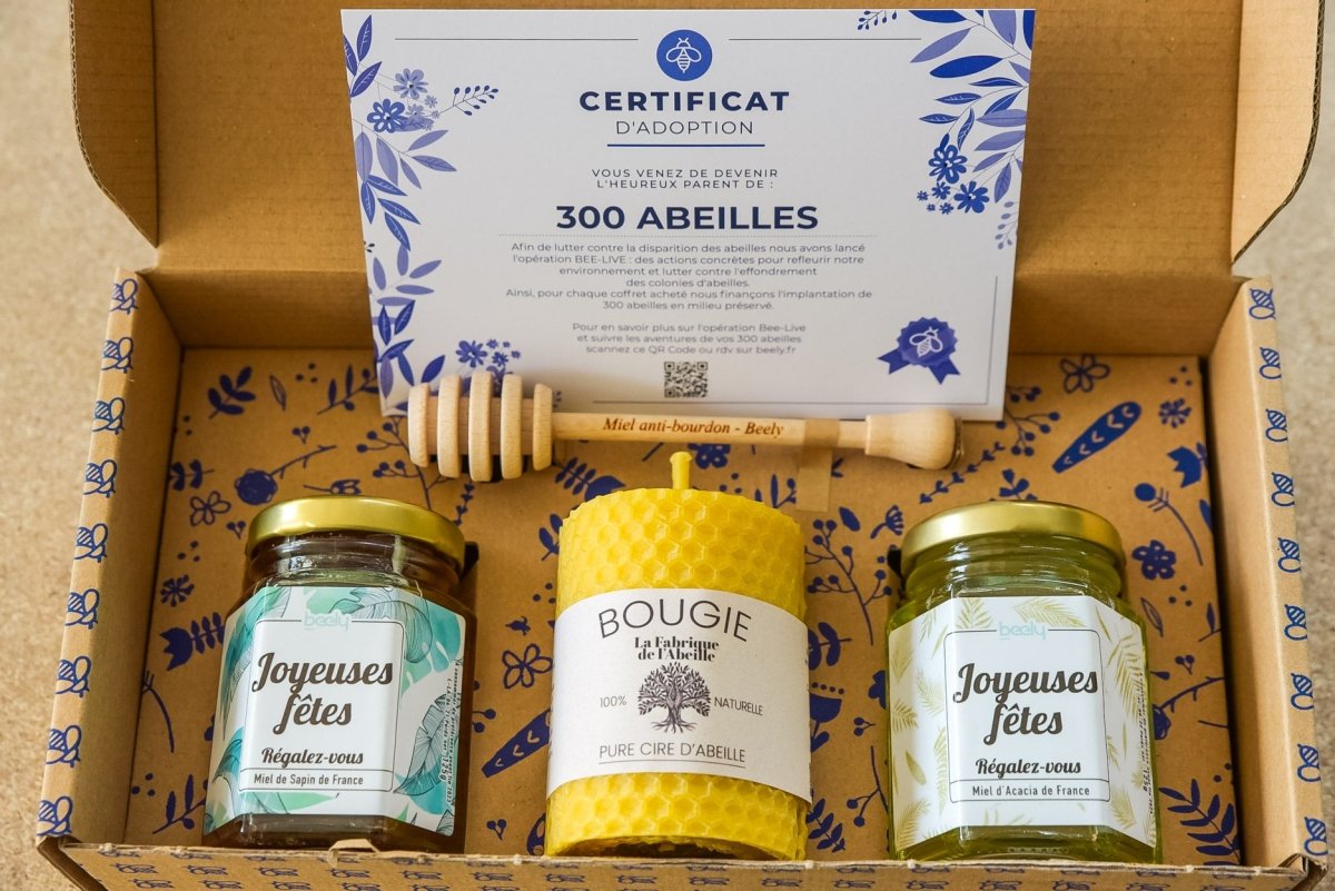 VEGETALIUS - Lot De 2 Kits Complets De 6 Bonsai Avec Graines & Accessoires - Fabriqué En France - Idée Coffret Cadeau Original Pour Femme & Homme Pour Votre Intérieur Ou Jardin